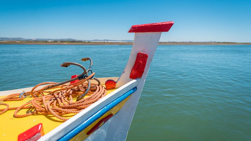 traditional boat tours artur watersports academy